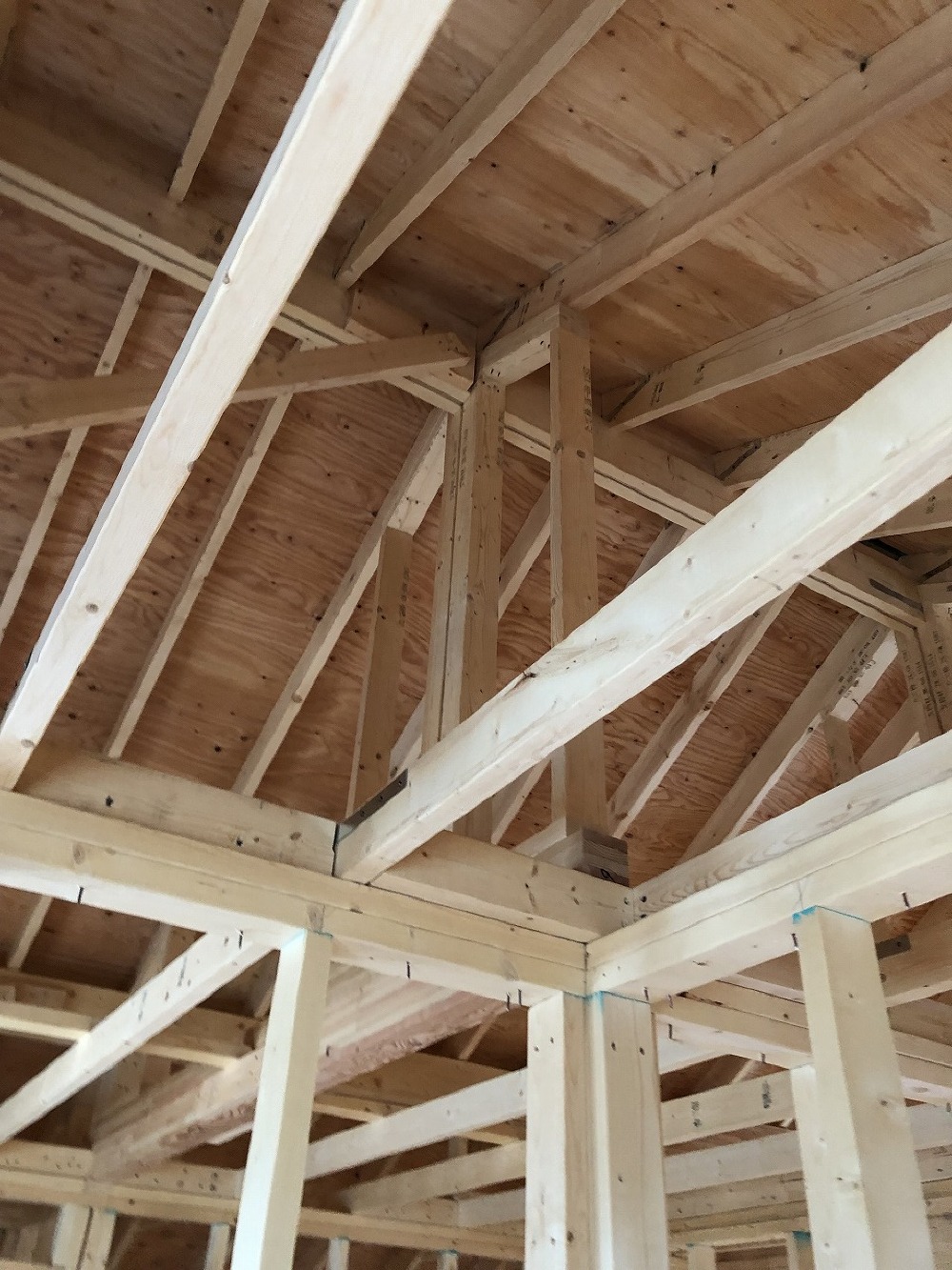 建て方（小屋組み）